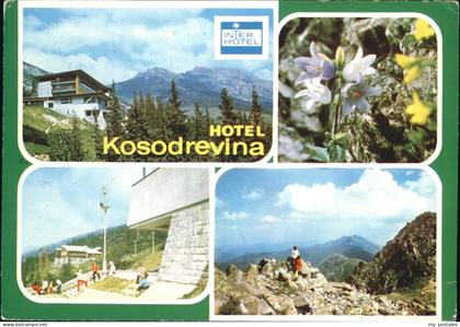 Tschechische Republik Hotel Kosodrevina