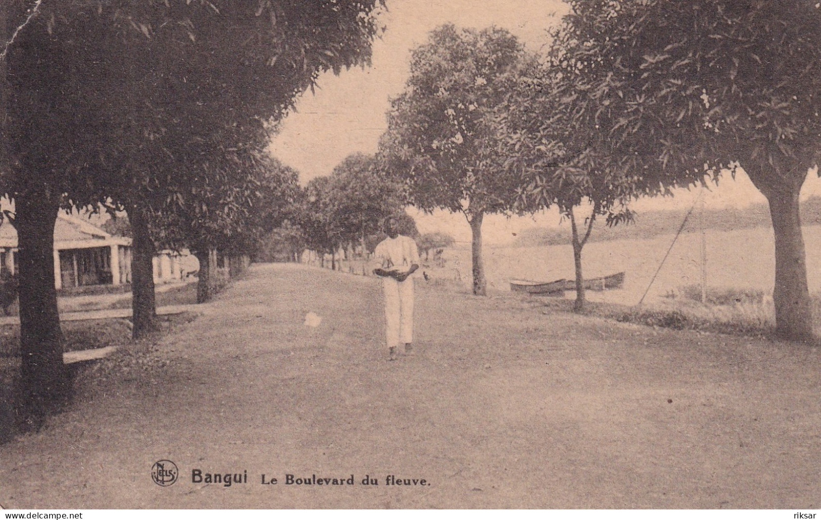 REPUBLIQUE CENTRAFRICAINE(BANGUI) ARBRE