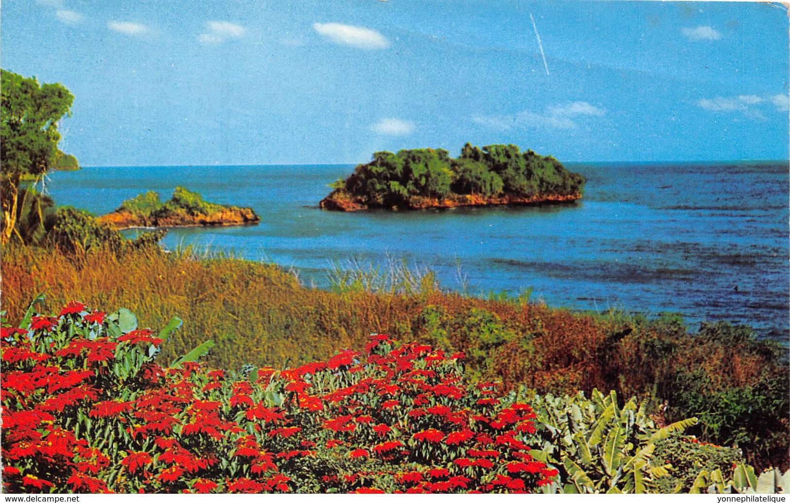 République Dominicaine / 10 - Samana - défaut