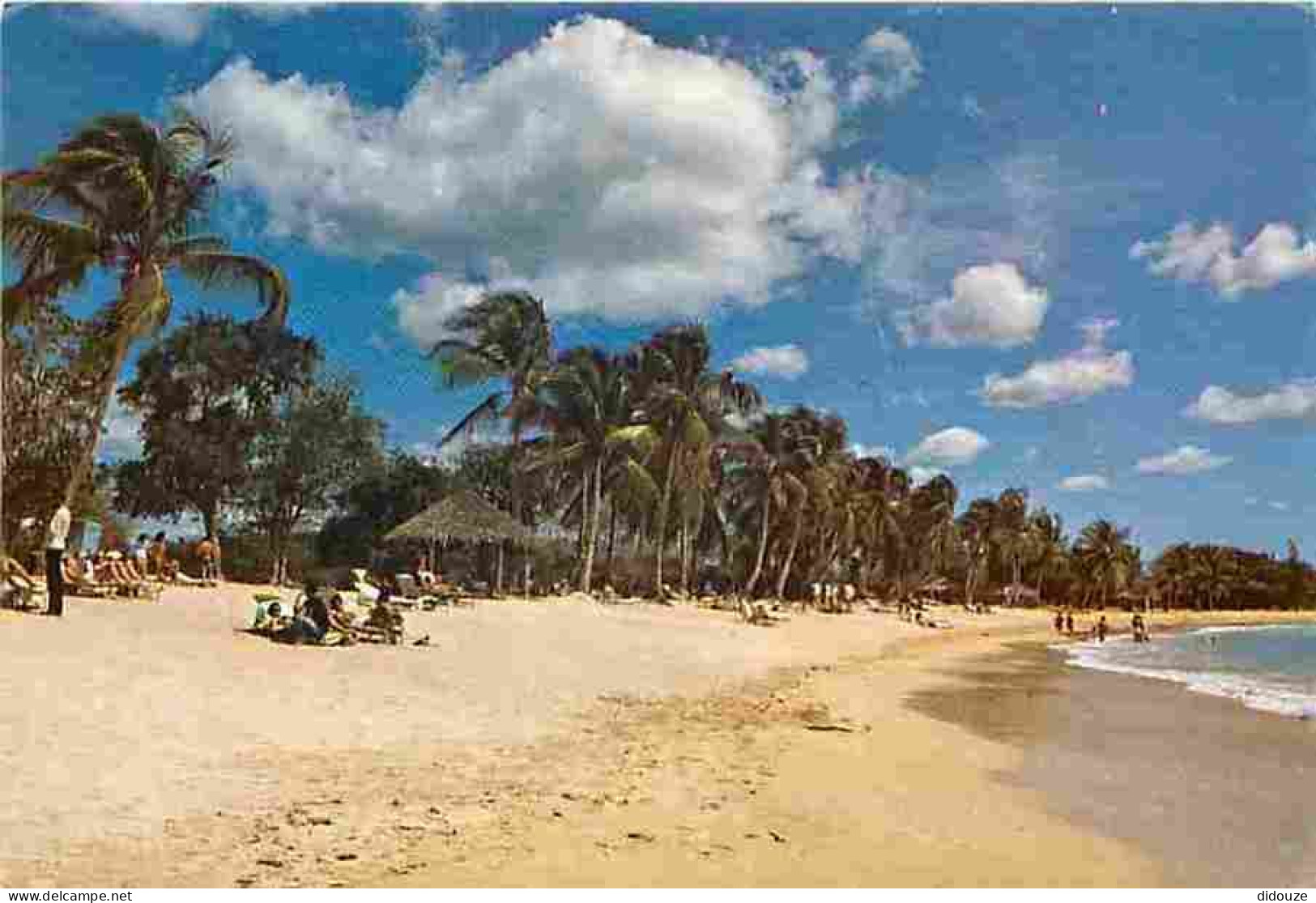 République Dominicaine - La Romana - Playa Minita - CPM - Voir Scans Recto-Verso