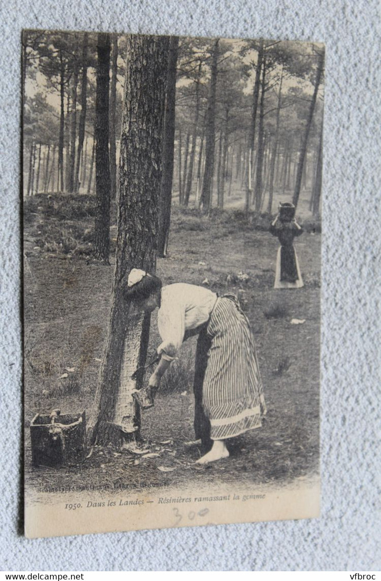 Résinières ramassant la gemme, Landes 40