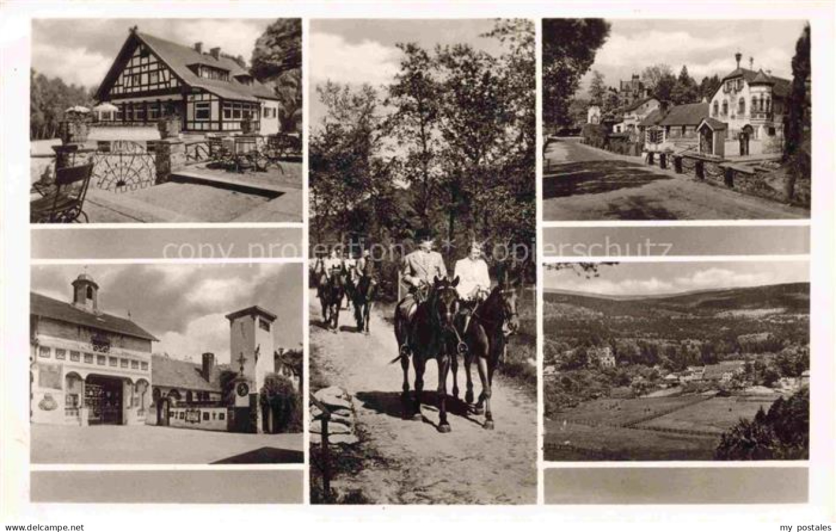 Rettershof Kelkheim Koenigstein Taunus Hessen Reiter Pferde Waldweg Fachwerkhaus