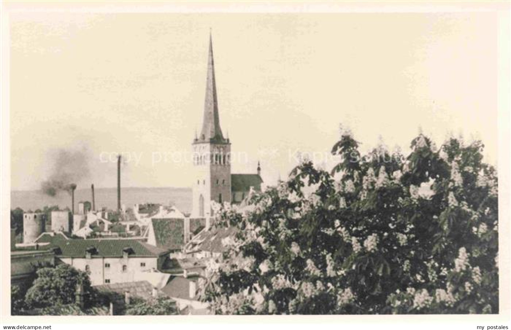 Reval TALLINN Estonia Kirche