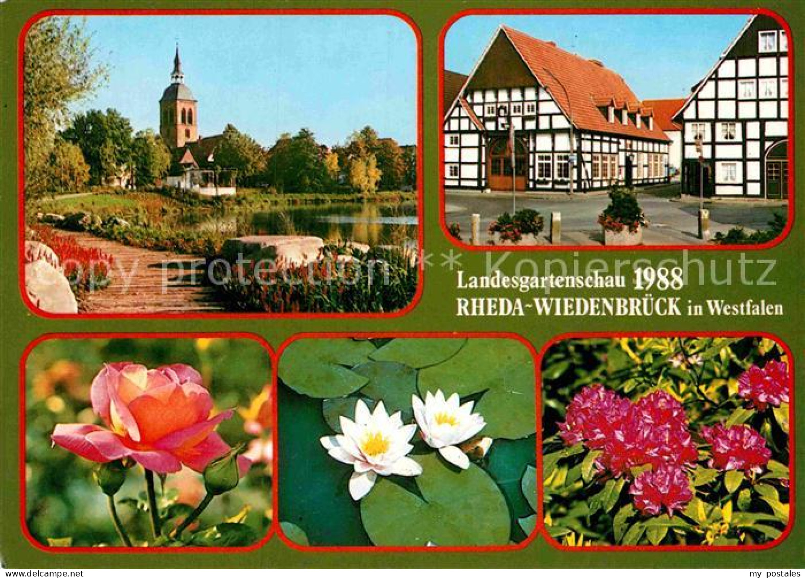 Rheda-Wiedenbrueck Landesgartenschau Kirche Seerosen Azaleen Rosen Fachwerkhaus