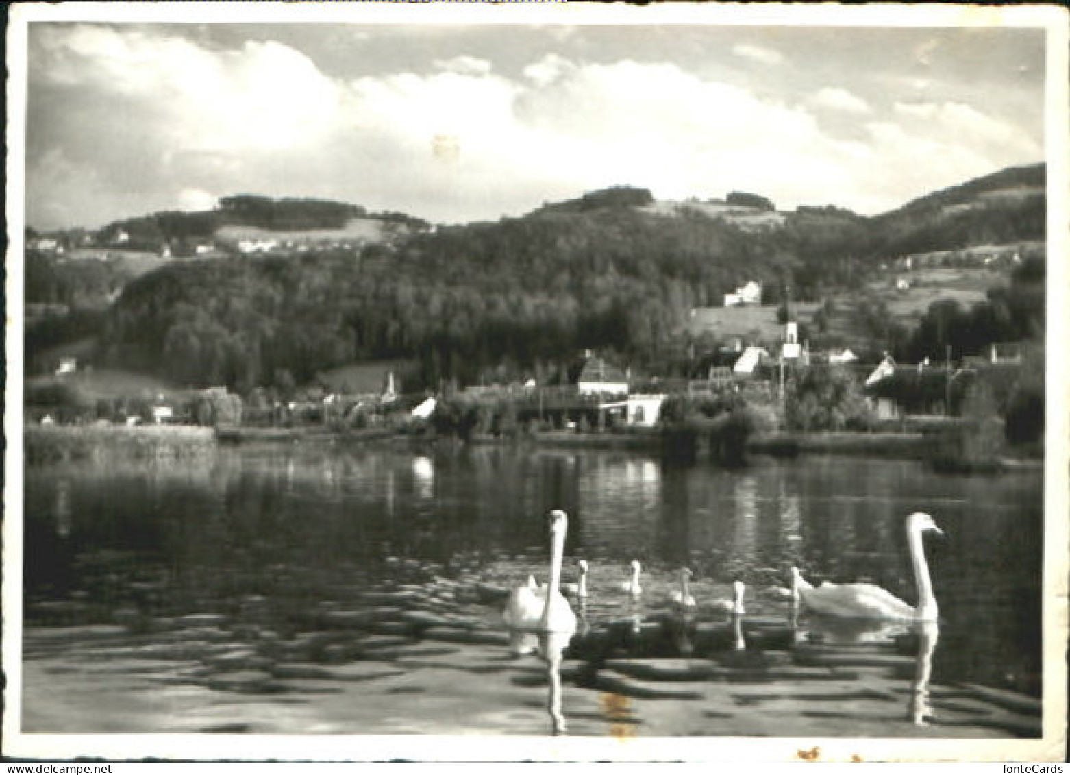 Rheineck SG Rheineck  x 1962