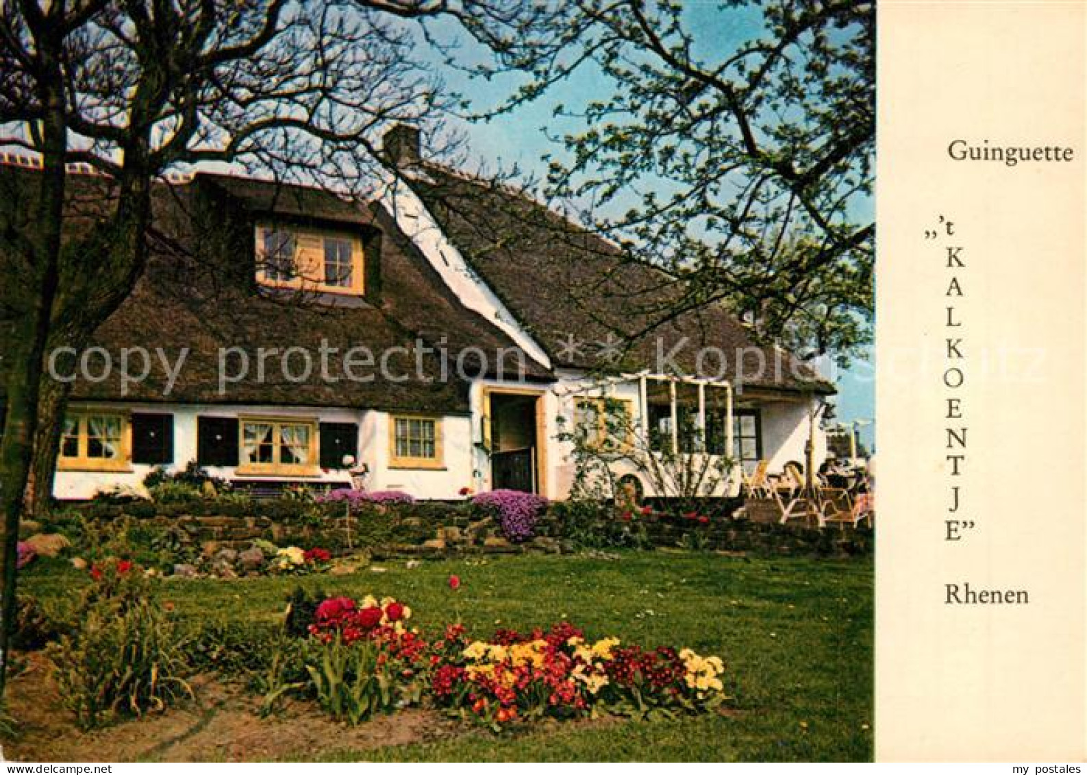 Rhenen Guinguette T Kalkoentje