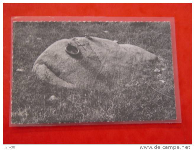 RHONE-PIERRE BENITE-36.623-LA PIERRE BENITE ED CELLARD-CODE 12