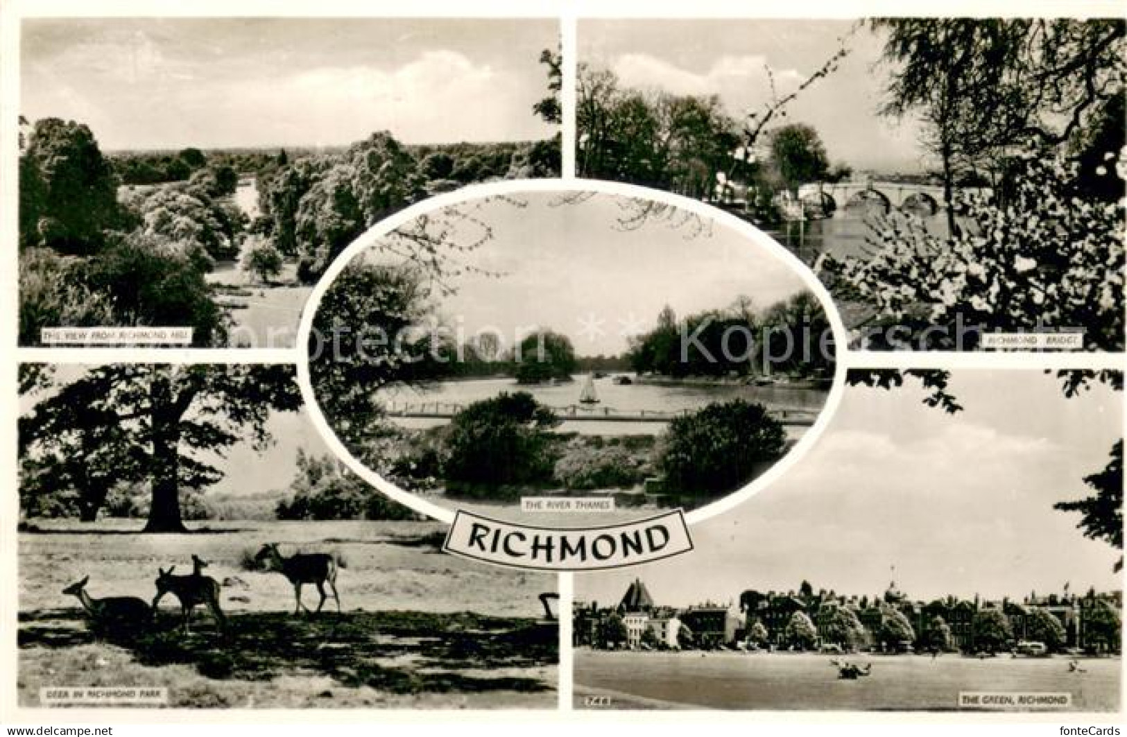 Richmond upon Thames Landscape Richmond Hill Bridge River Thames Deer in Richmon