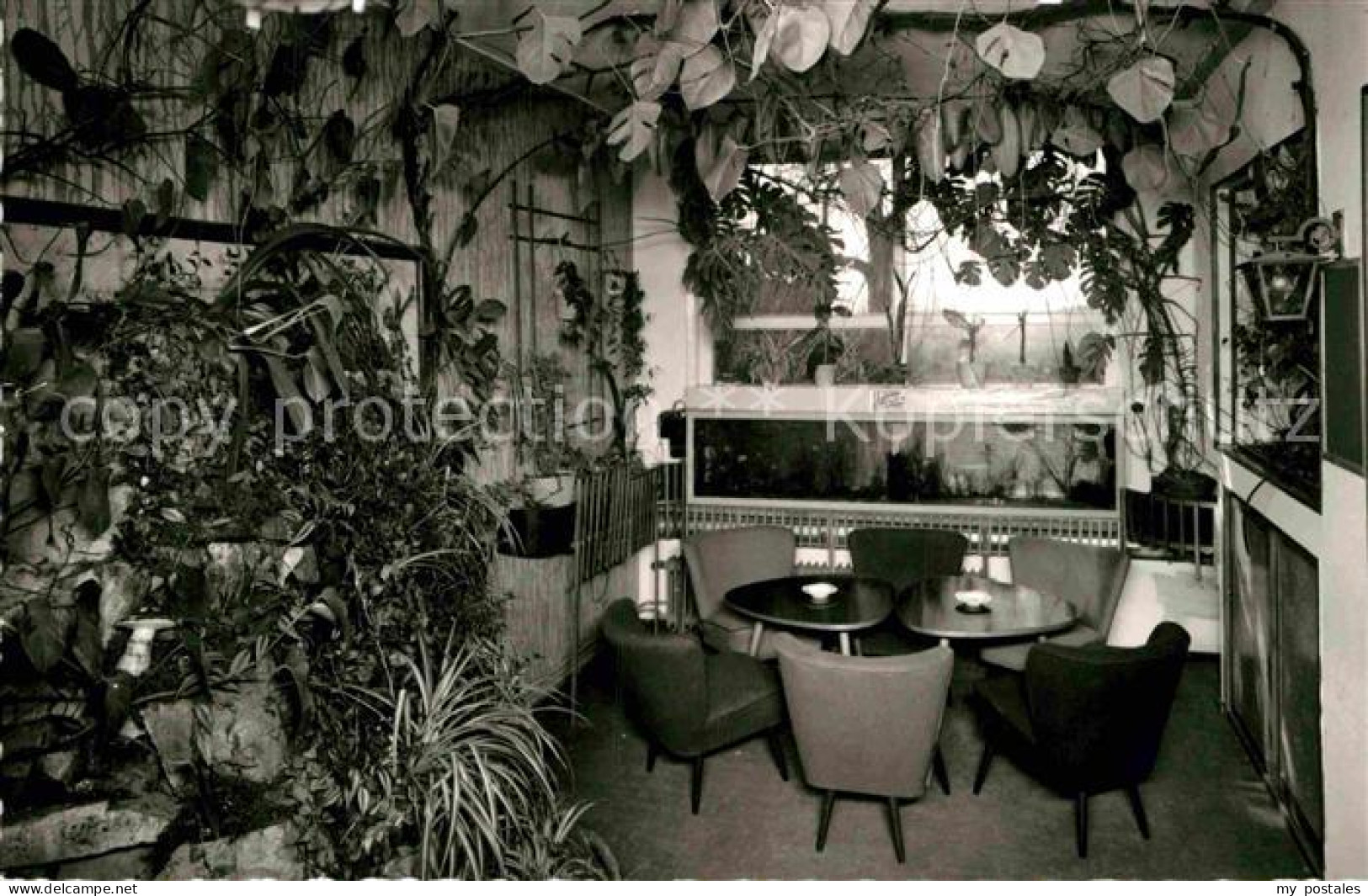 Riedern Gutach Haus Sonnenschein