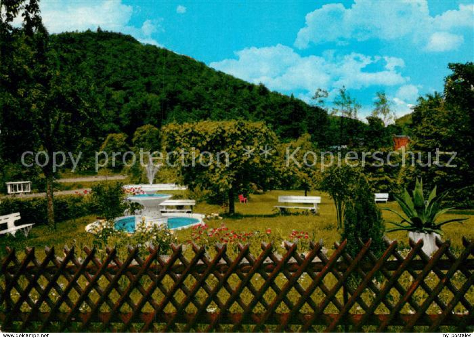 Riedern Unterfranken Gasthaus Pension Zur Rose Liegewiese beheizbare Schwimmbeck