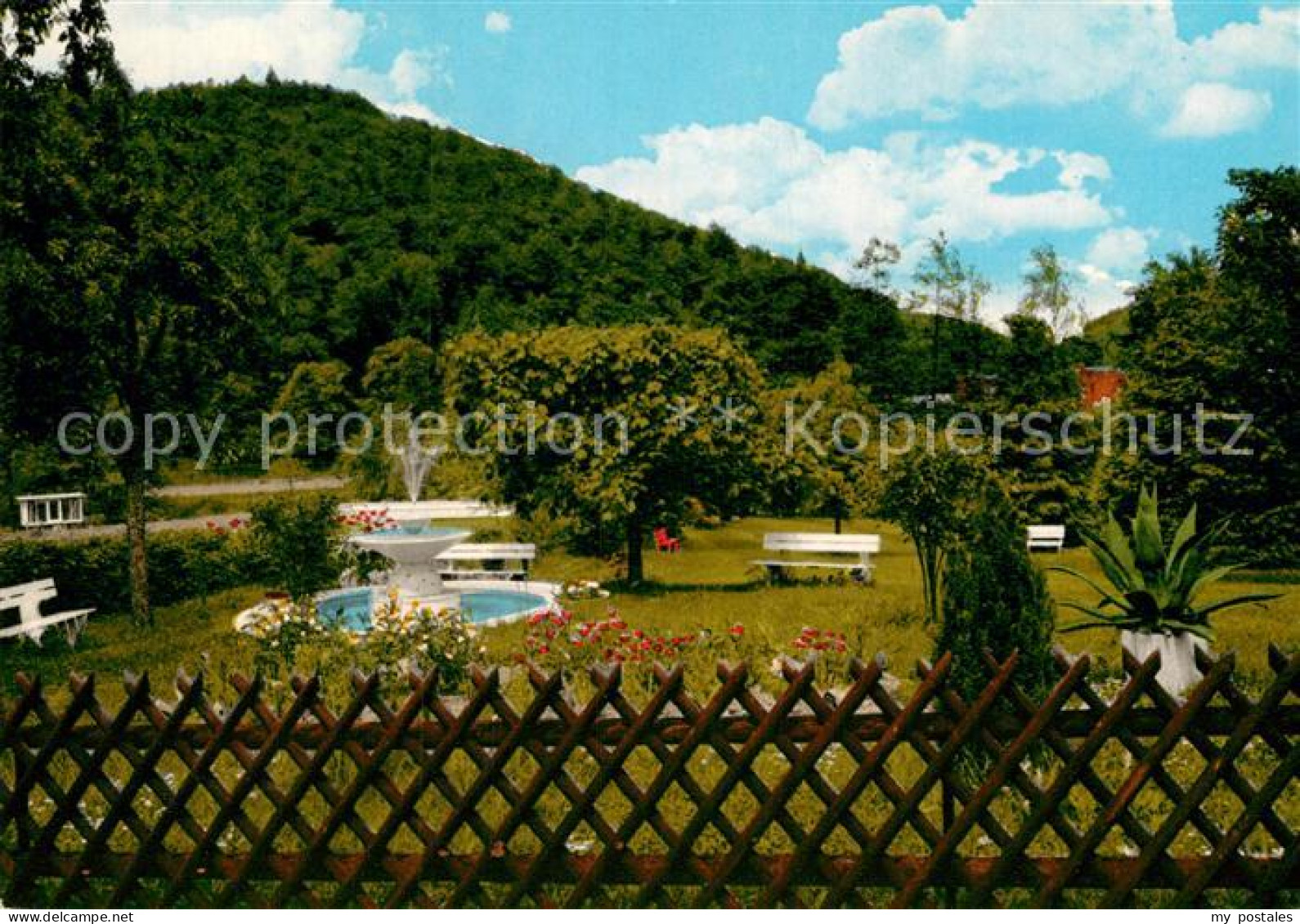 Riedern Unterfranken Gasthaus Pension zur Rose Liegewiese beheizbare Schwimmbeck