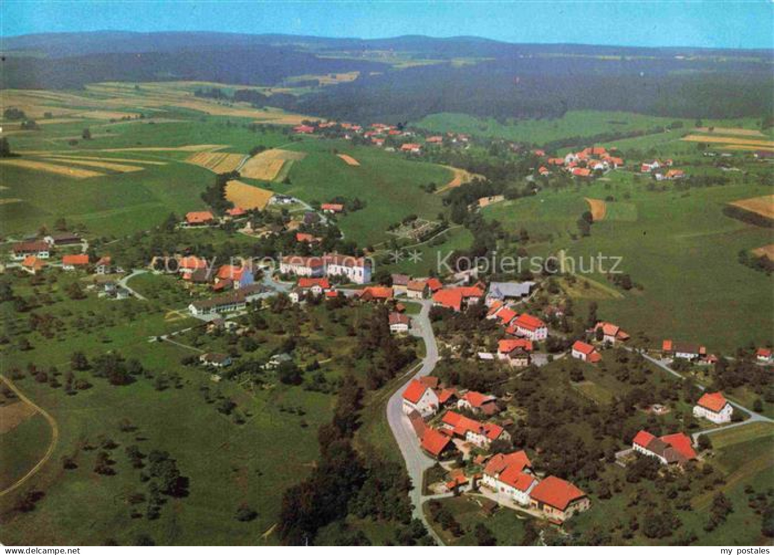 Riedern Wald Fliegeraufnahme