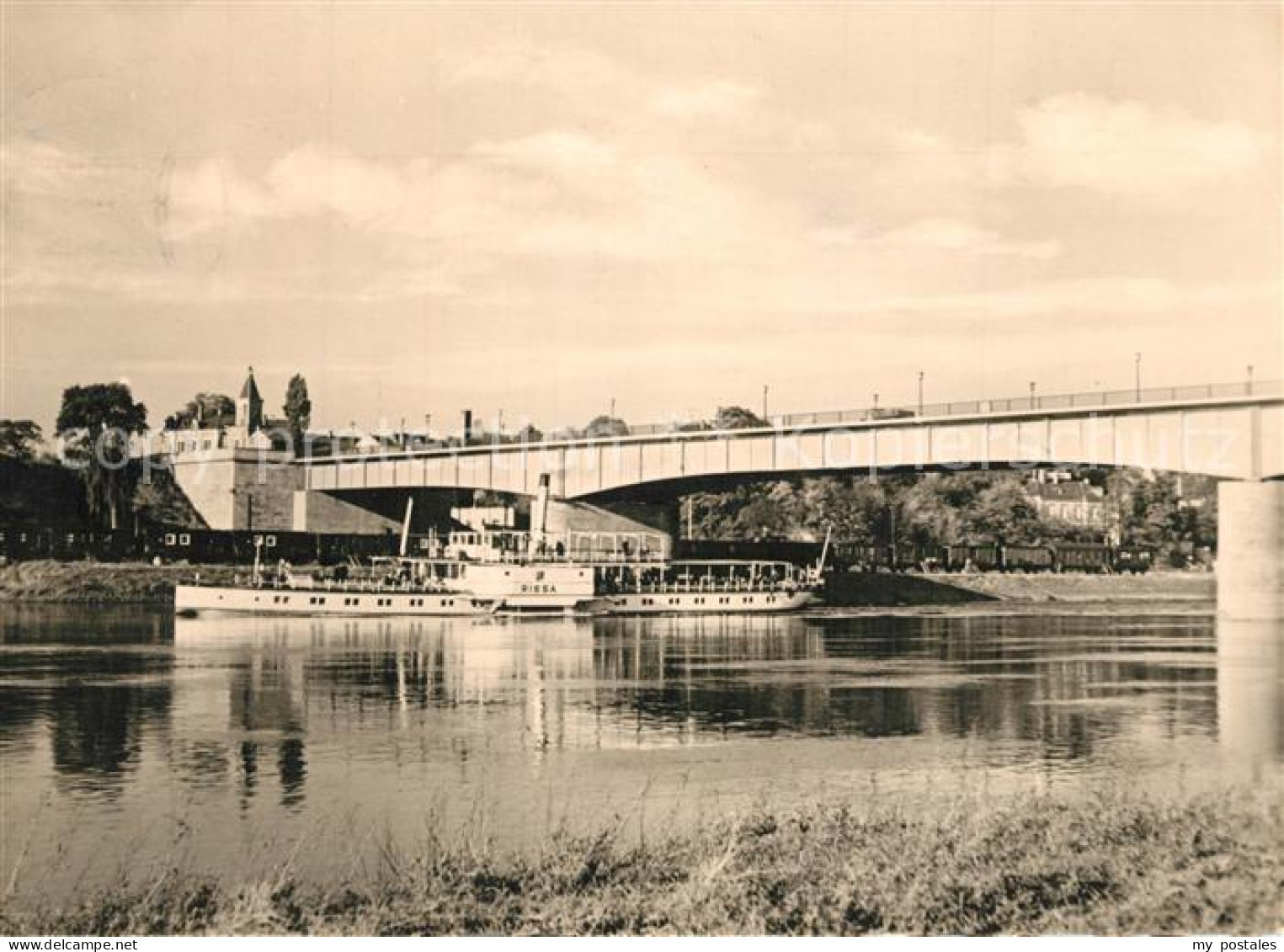 Riesa Sachsen Neue Elbbruecke Dampfer Riesa