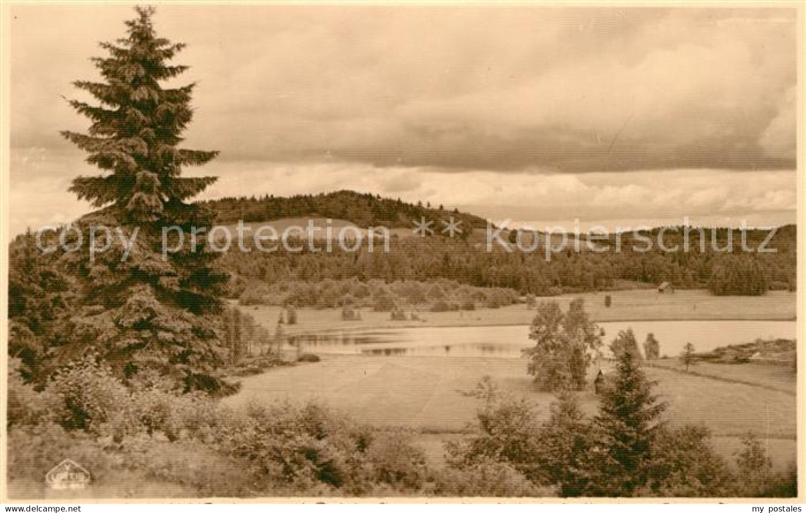 Riga Lettland Panorama