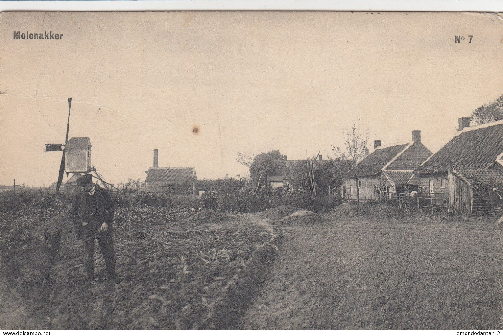 Rijkevorsel - Molenakker
