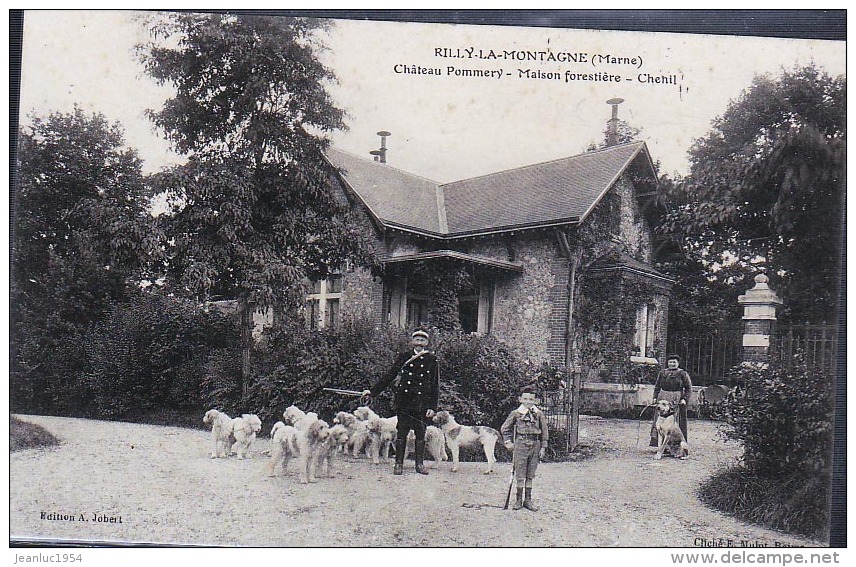 RILLY LA MONTAGNE POMMERY