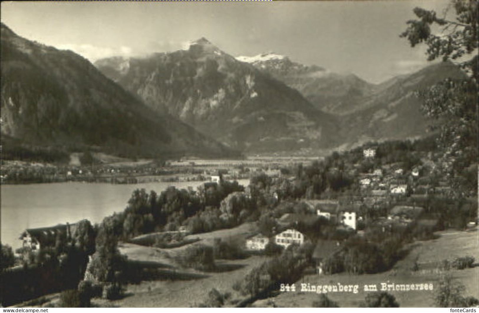Ringgenberg Ringgenberg
