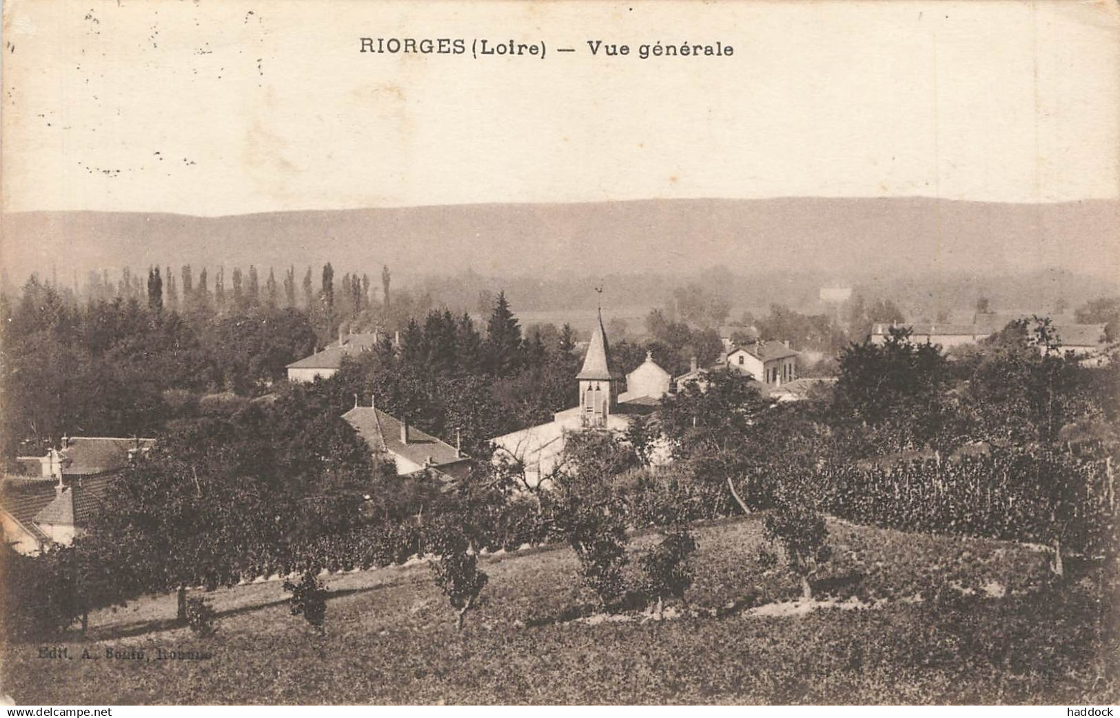 RIORGES : VUE GENERALE