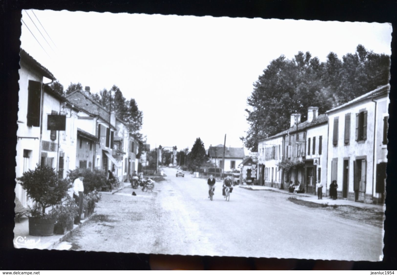 RISCLE                   DD