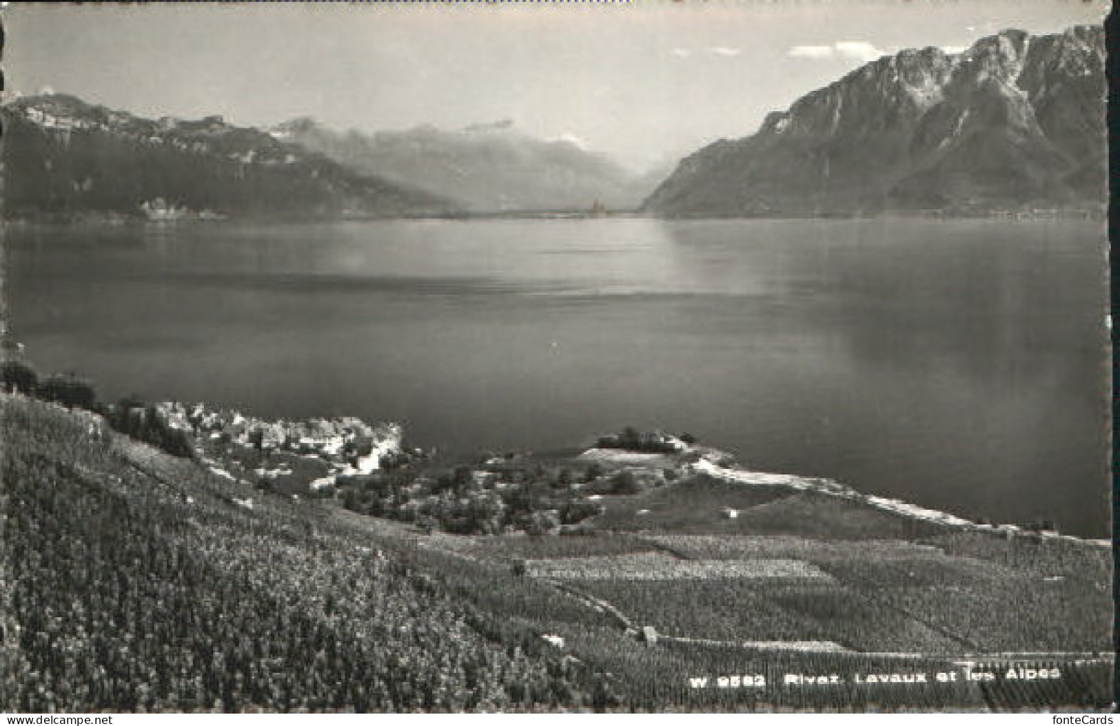 Rivaz See