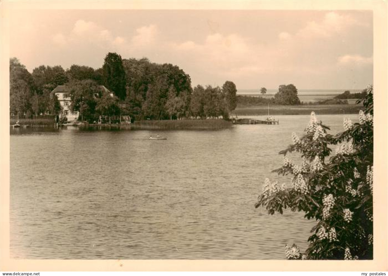 Roebel Mueritz Blick auf Seestern