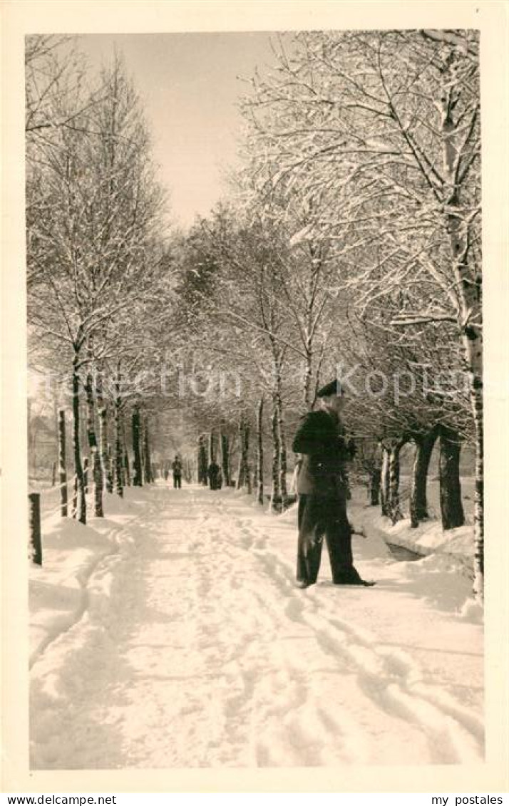 Roebel Mueritz Winterspaziergang