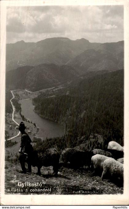 Roemenië Romania - Gyilkosto