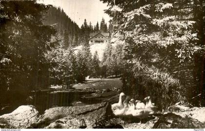 Roemenië Romania - Sibiu