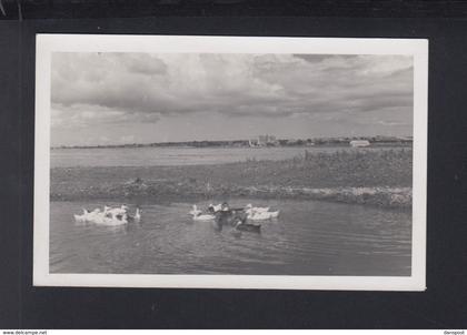 Romania PPC Mamaia 1942