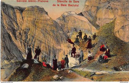România - SLANIC - Stancile de Sare de la Baia Baciului