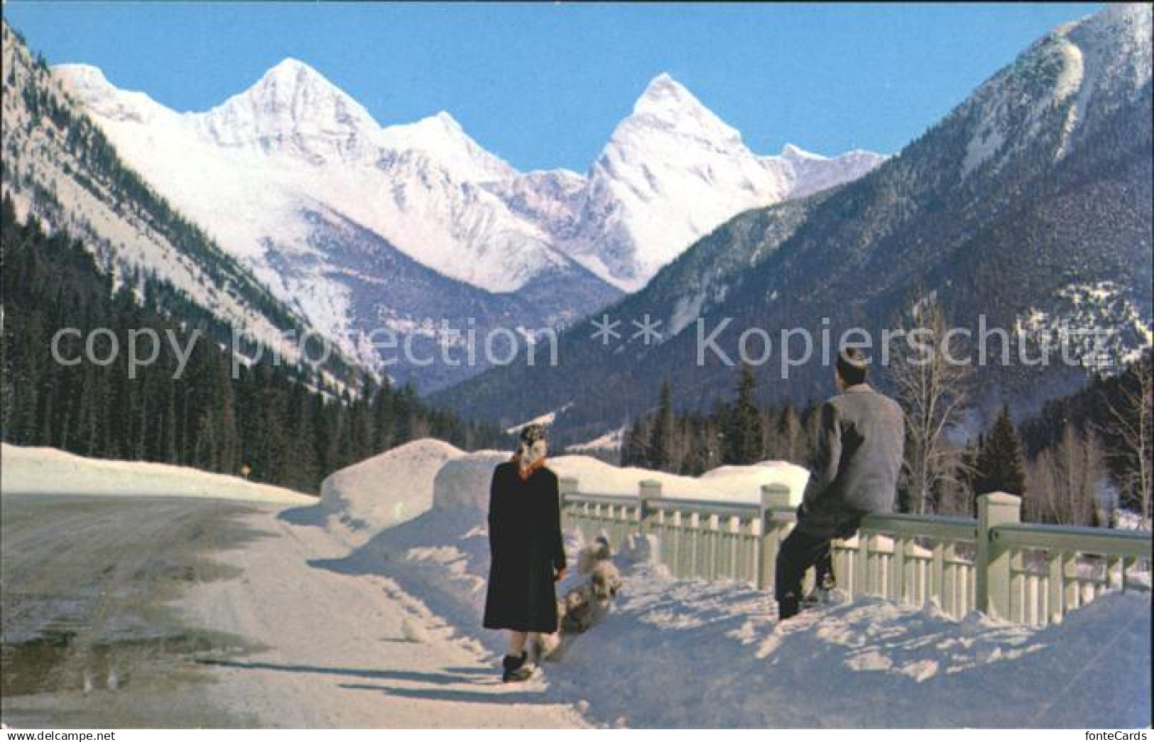Rogers Pass British Columbia