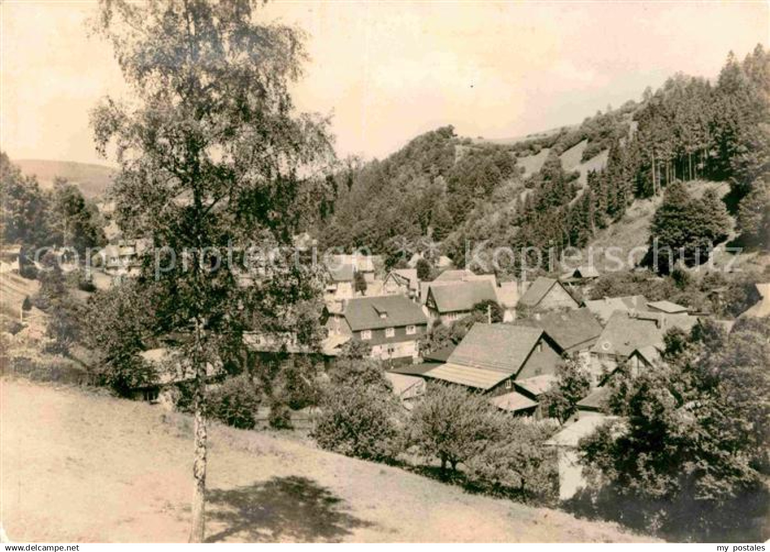 Rohrbach Saalfeld