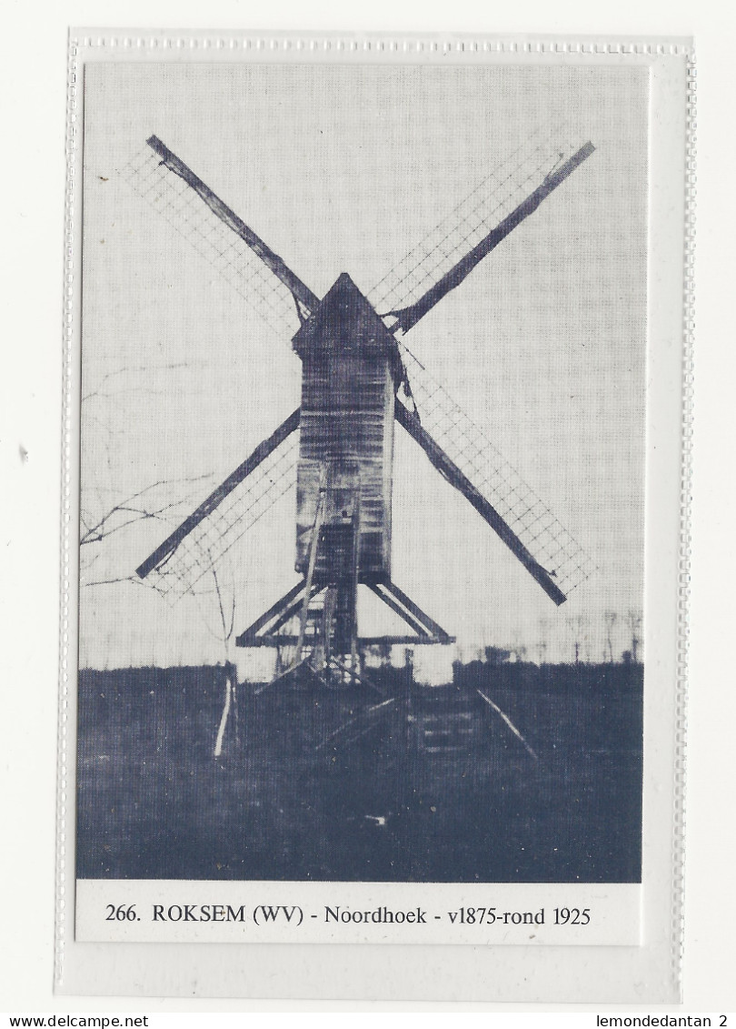 Roksem - Noordhoek.*