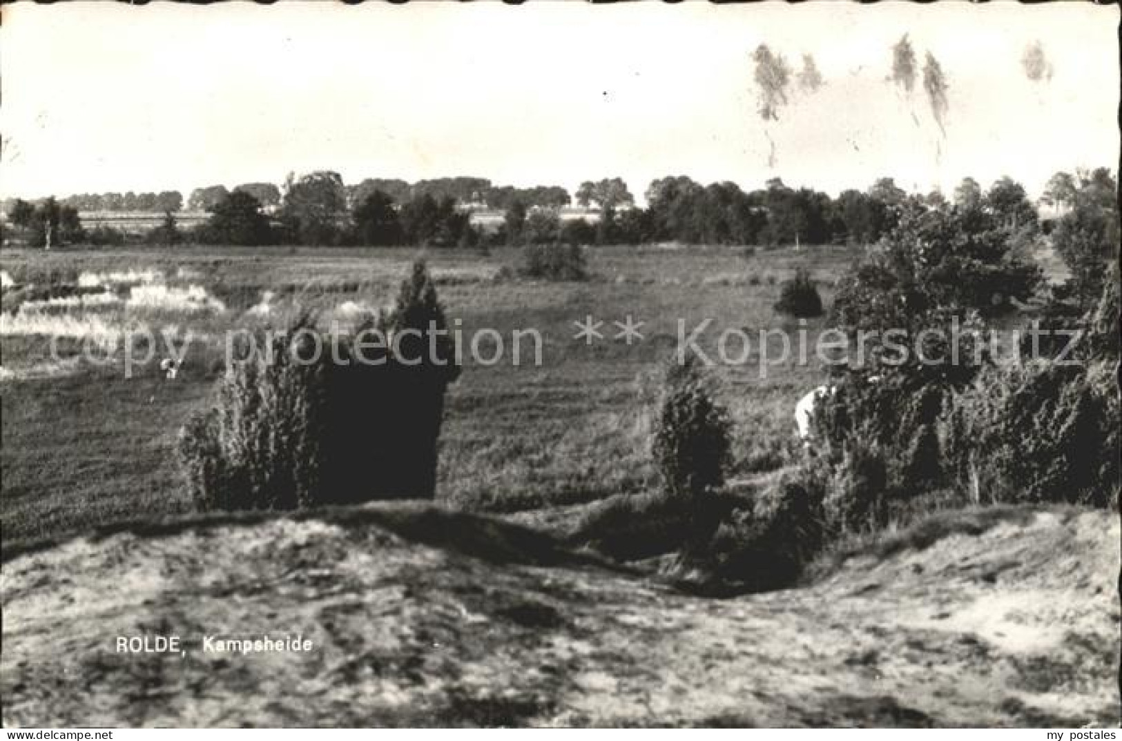 Rolde Panorama Kampsheide