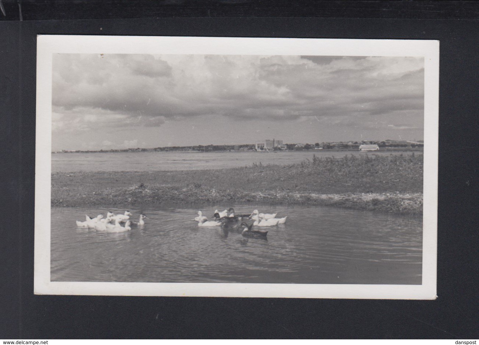 Romania PPC Mamaia 1942