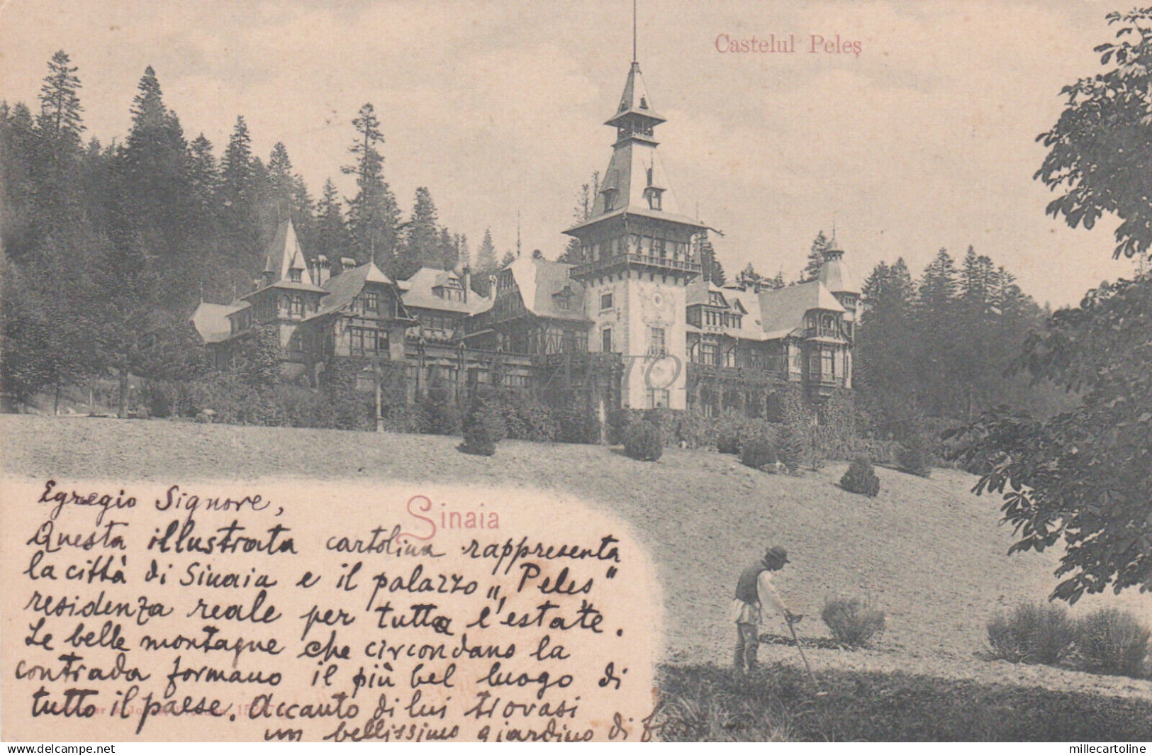 ROMANIA - Sinaia, Castelul Peles