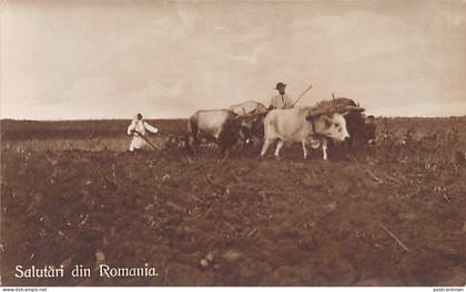 Romania - Arat