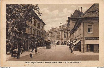 România - SIBIU (Hermannstadt) - Strada Regina Maria