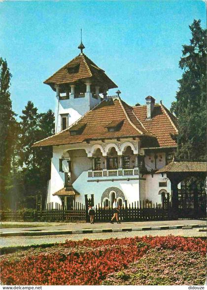 Roumanie - Bucaresti - Muzeul - Romania - Rumania - CPM - Voir Scans Recto-Verso