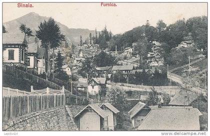 X 96/C P A  ROUMANIE - SINALA      FURNICA