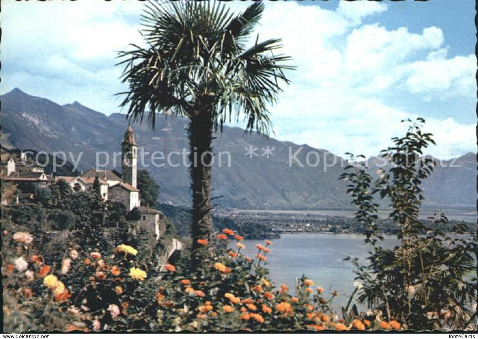 Ronco sopra Ascona