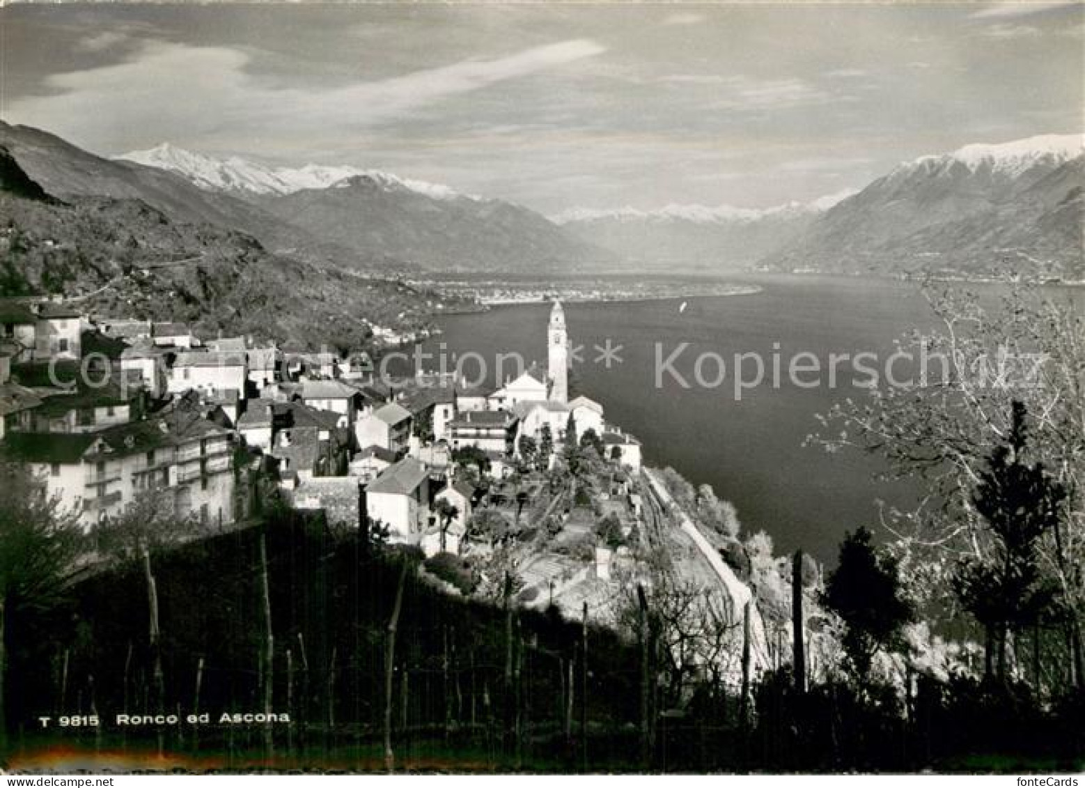 Ronco sopra Ascona Panorama