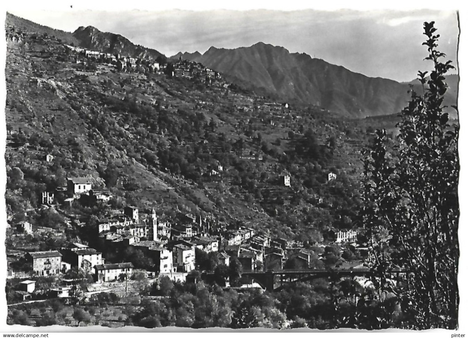 ROQUEBILLIERE - Au loin, Belvédère