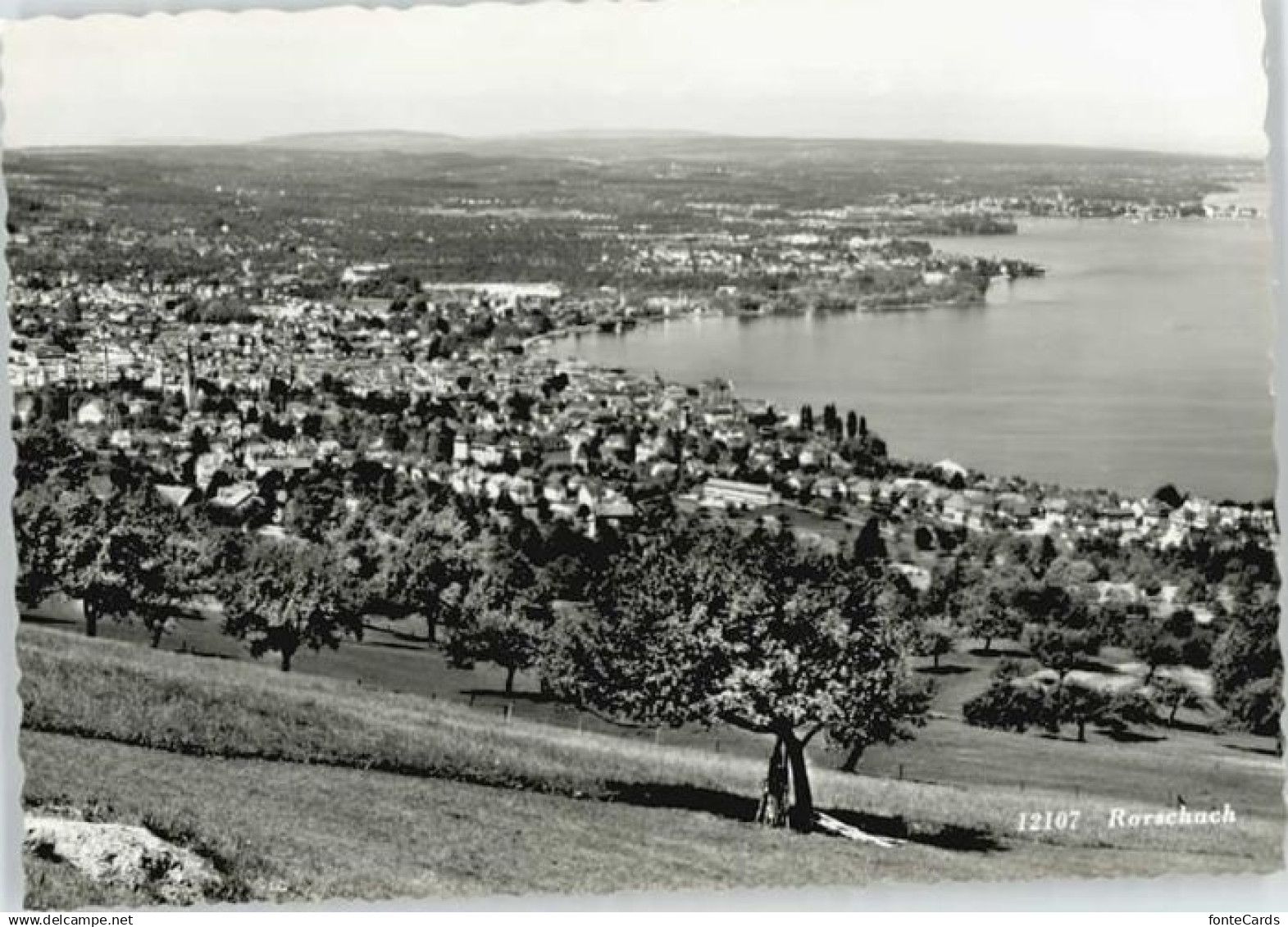 Rorschach Bodensee Rorschach