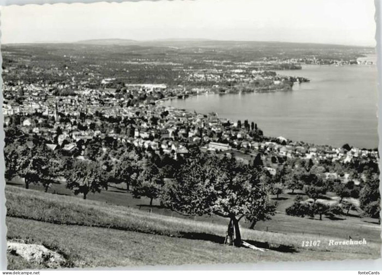Rorschach Bodensee Rorschach