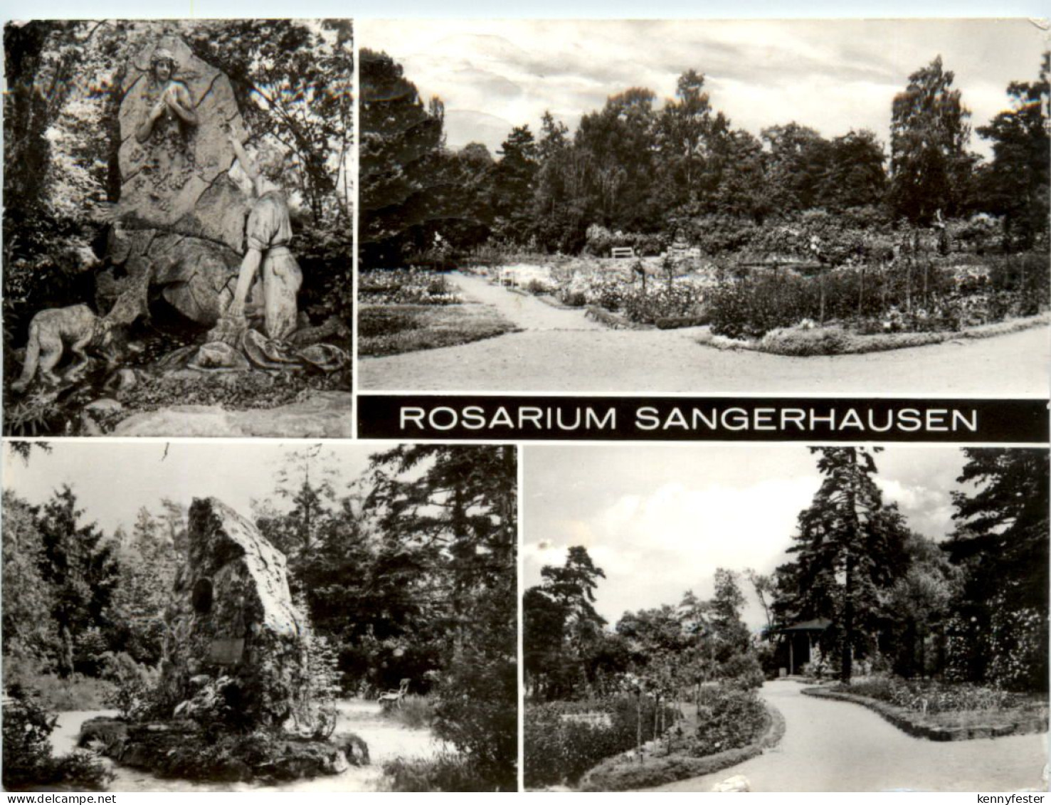Rosarium Sangerhausen, div. Bilder