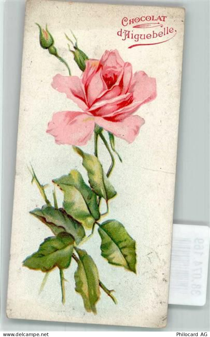 Rose Cocolat d`Aiguebelle Schokolade Werbe AK - 38074169