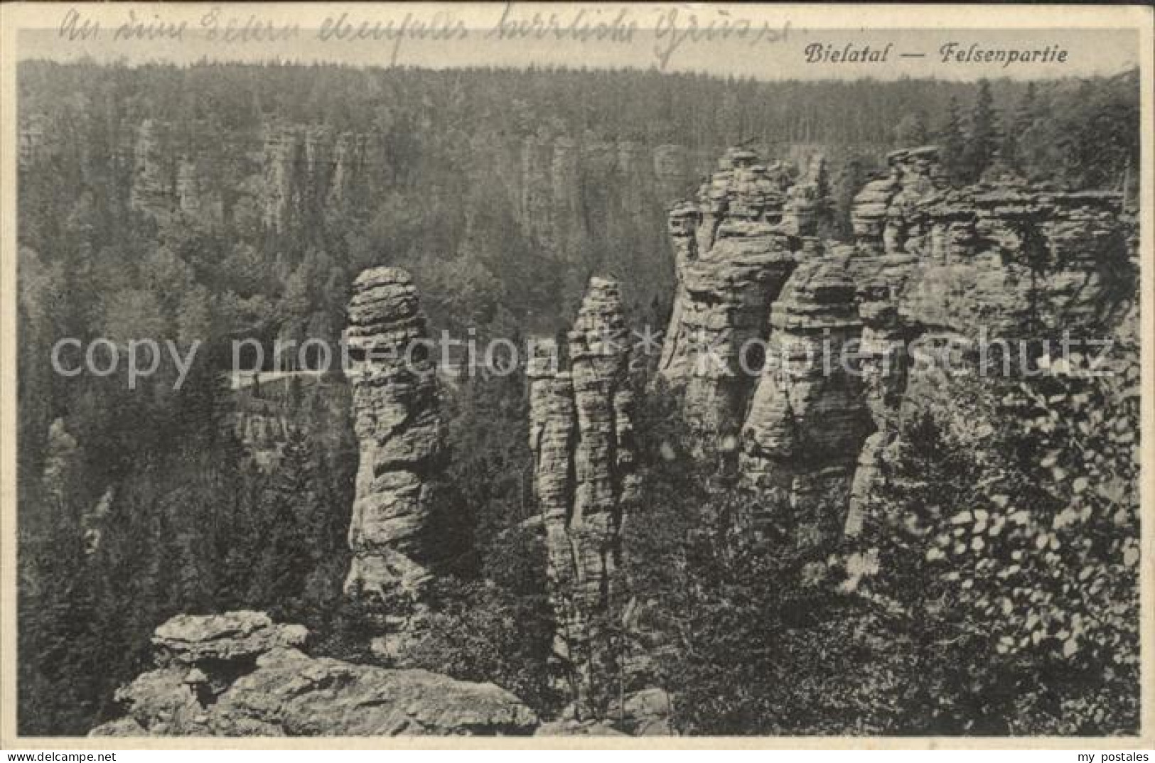 Rosenthal-Bielatal Felsenpartie mit Schieferturm Erzgebirge