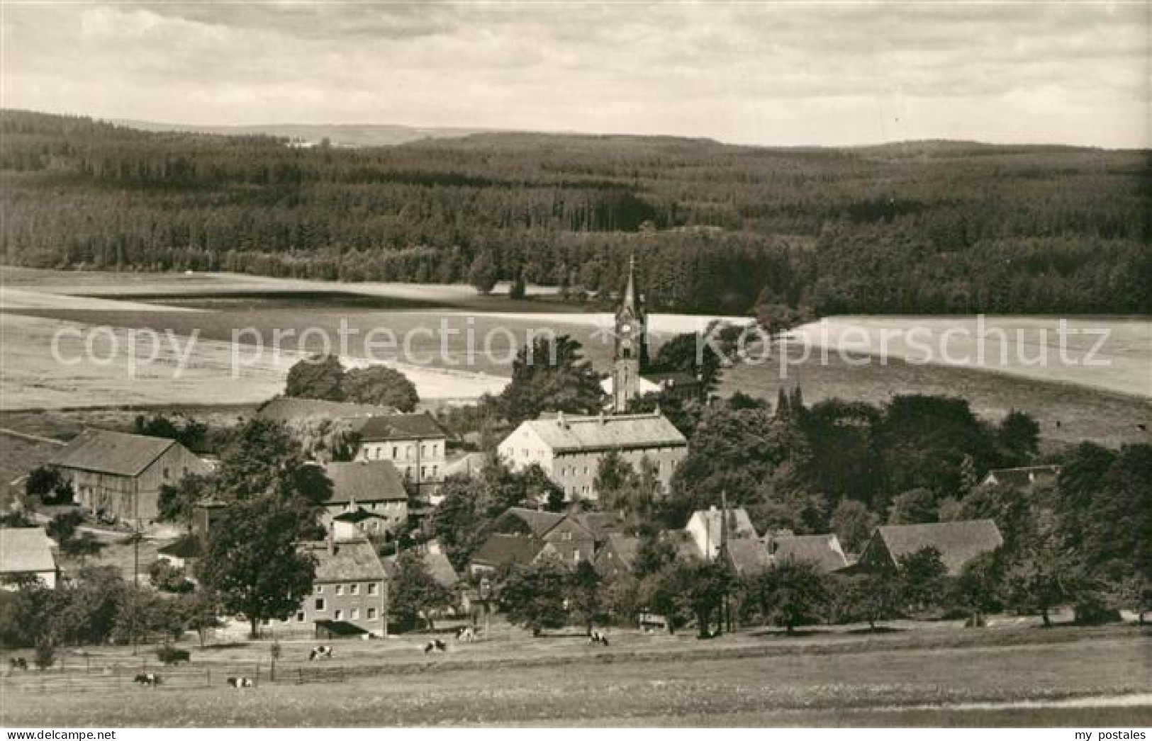 Rosenthal-Bielatal Panorama