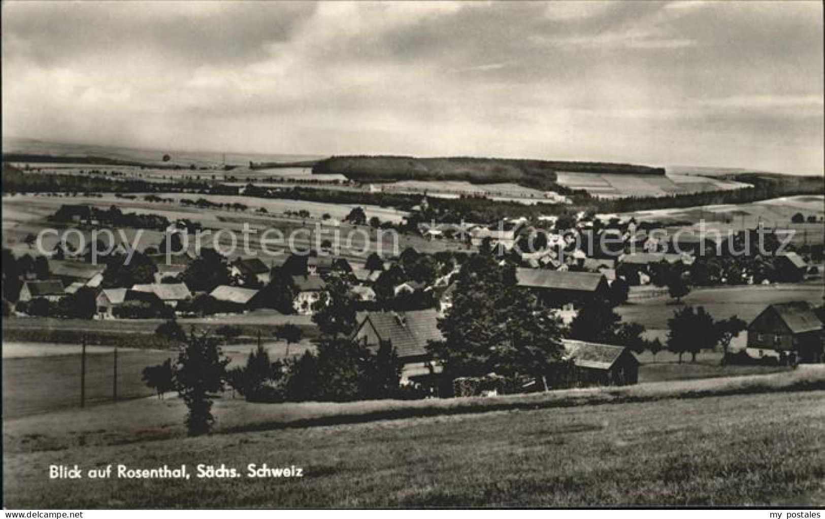 Rosenthal-Bielatal Panorama